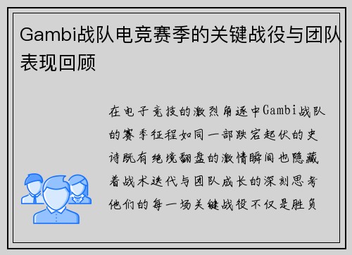 Gambi战队电竞赛季的关键战役与团队表现回顾