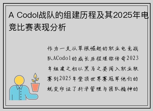 A Codol战队的组建历程及其2025年电竞比赛表现分析
