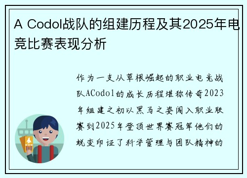 A Codol战队的组建历程及其2025年电竞比赛表现分析
